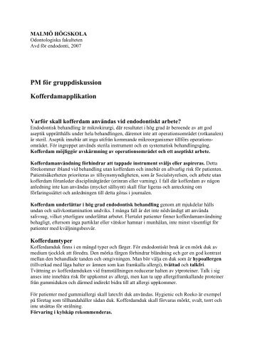 PM för gruppdiskussion Kofferdamapplikation - Malmö högskola