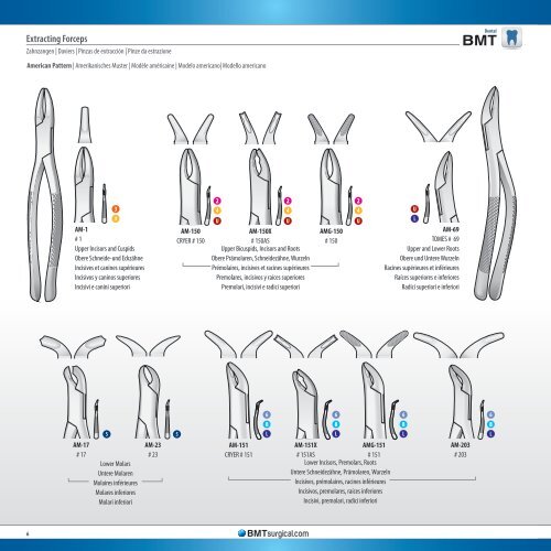 Dental Catalogue (Condensed)