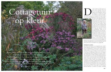 Cottagetuin Geke Rook in Days magazine - Modeste Herwig
