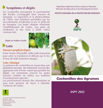 Cochenilles des agrumes - Inpv