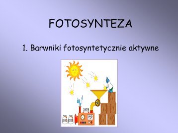 4_barwniki foto.pdf