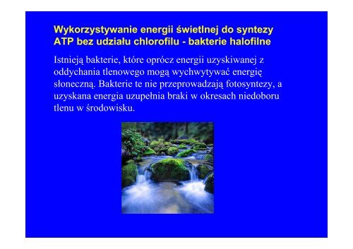 Microsoft PowerPoint - fotosynteza i chemosynteza czerwiec.ppt.pdf