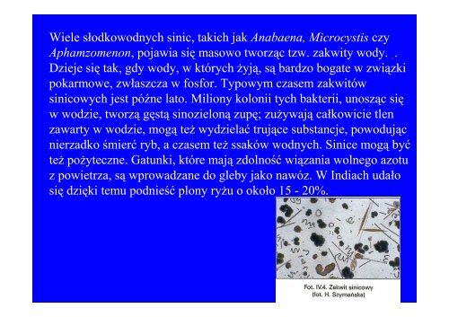 Microsoft PowerPoint - fotosynteza i chemosynteza czerwiec.ppt.pdf