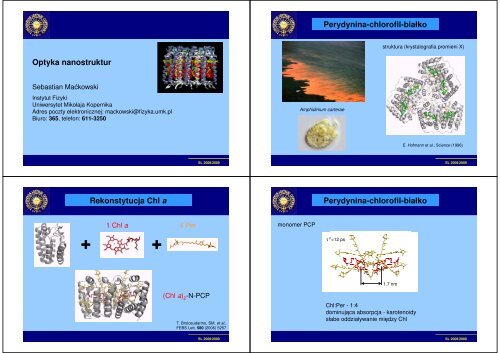 Optyka nanostruktur Perydynina-chlorofil-białko Rekonstytucja Chl a ...