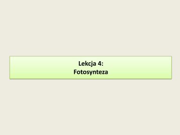 lekcja 4 Fotosynteza.pdf