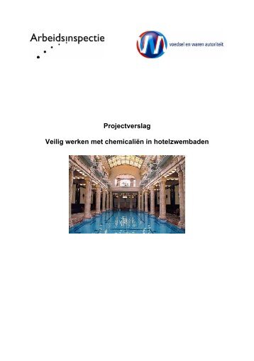 Projectverslag Veilig werken met chemicaliën in ... - docs.szw.nl