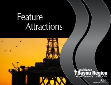 Feature Attractions - EDsuite