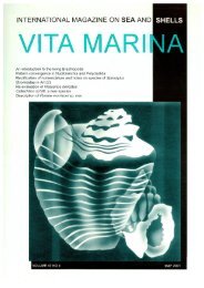 international magazine on sea and shells - Strandvondsten