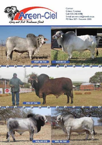 Deel 1 - Brahman Breeders Society of South Africa