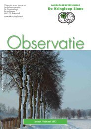 Observatie no. 1: januari/februari (Klik hier voor pdf-bestand)