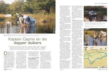 Kaptein Caprivi en die dapper duikers - Driveout.co.za