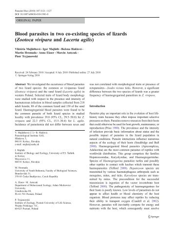 Blood parasites in two co-existing species of lizards ... - Lacerta