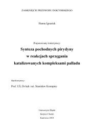 Ignasiak zamkniecie.pdf - Uniwersytet Śląski