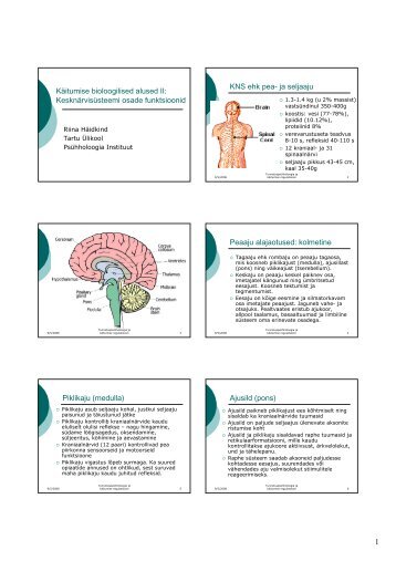 Käitumise bioloogilised alused II: Kesknärvisüsteemi osade ...