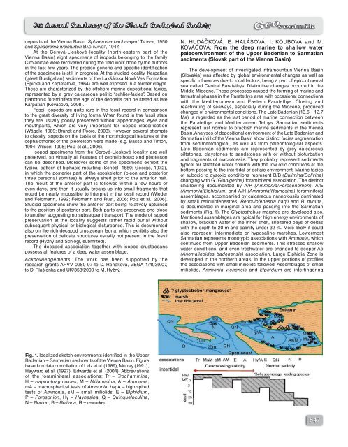 Németh, Z., Plašienka, D., Šimon, L., Kohút, M - Štátny geologický ...