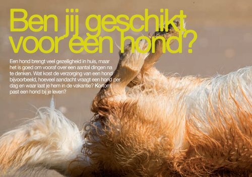 Baas : gids voor eigenaren van een hond, kat, konijn ... - Ikzoekbaas.nl