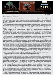 2013 Veilingsnuusbrief met bul beskrywings - Bonsmara