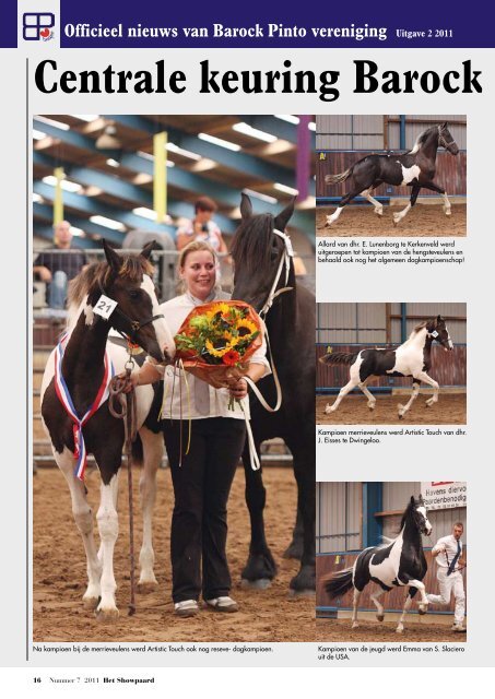 Centrale keuring Barock pinto stamboek - Barock Pinto Studbook