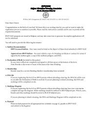 2013 BWP/NAD Registration Packets - Belgian Warmblood ...