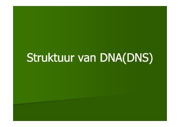 2.gr12 DNA struktuur