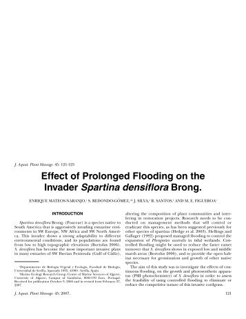 Effect of Prolonged Flooding on the Invader Spartina densiflora Brong.