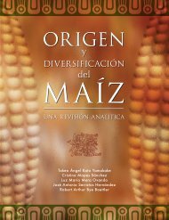 Origen del MaizUv