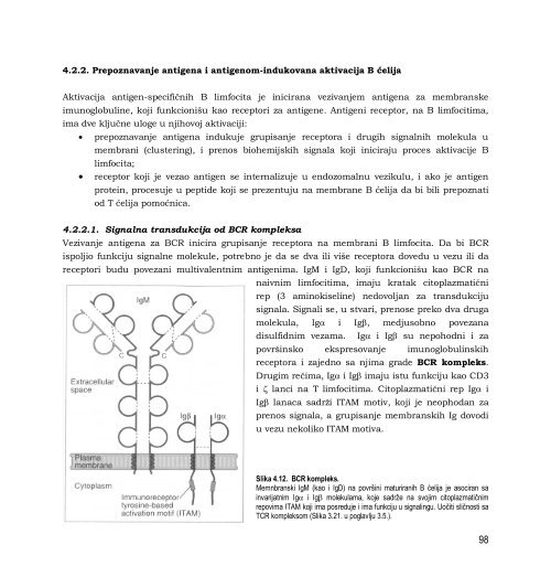 Skripta - Departman za Biologiju i Ekologiju - Univerzitet u Novom ...