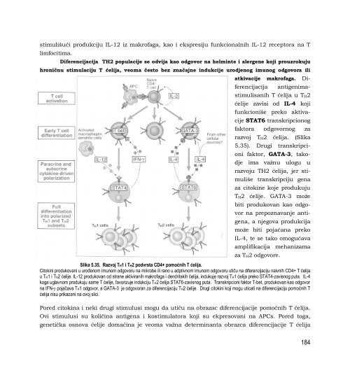 Skripta - Departman za Biologiju i Ekologiju - Univerzitet u Novom ...