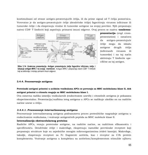 Skripta - Departman za Biologiju i Ekologiju - Univerzitet u Novom ...