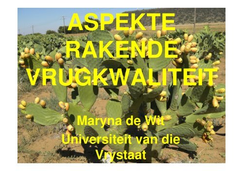 Maryna de Wit Universiteit van die Vrystaat