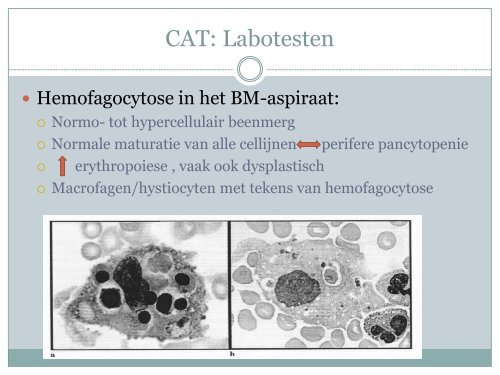 CAT: Labotesten Hemofago