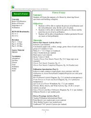 Flower Frenzy Summary Objectives Materials Hawaii's Forest