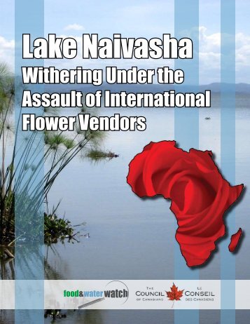 Lake Naivasha withering under the assault of international flower ...