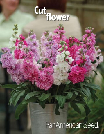 Cut flower - Pan American Seed Company