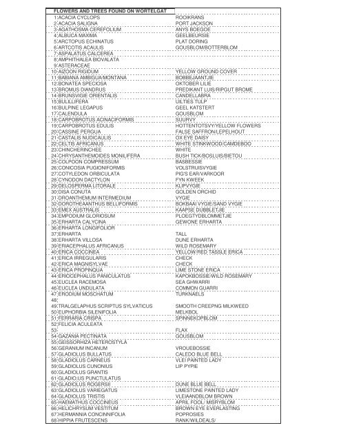 FLOWERS AND TREES FOUND ON WORTELGAT 1 ACACIA ...