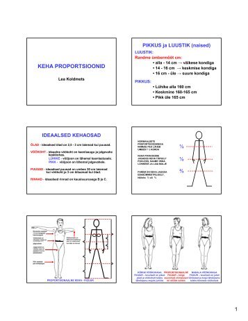 Keha proportsioonid.pdf