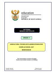 NATIONAL SENIOR CERTIFICATE GRADE 11