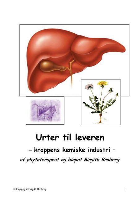 Urter til leveren - Sund-forskning.dk