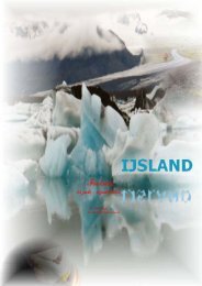 Reisverslag Ijsland 1 (in pdf)
