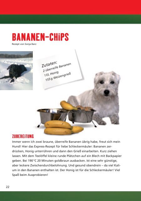 DIE BESTEN HUNDEKUCHEN- REZEPTE