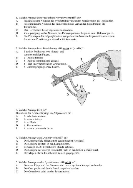 Klausur "Anatomie - Eingangstestat" vom 23.11.07 ... - FSRmed