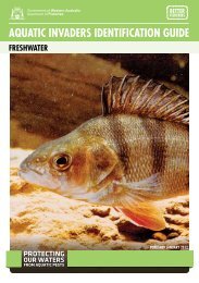 aquatic invaders identification guide - Department of Fisheries