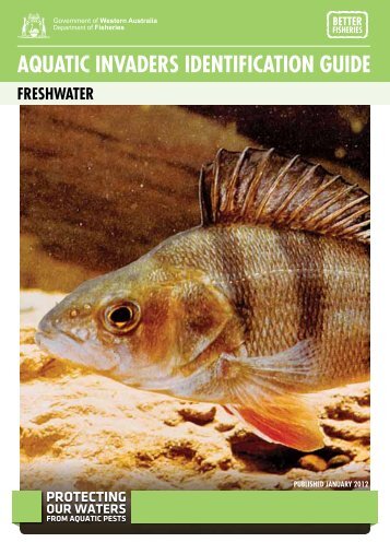 aquatic invaders identification guide - Department of Fisheries