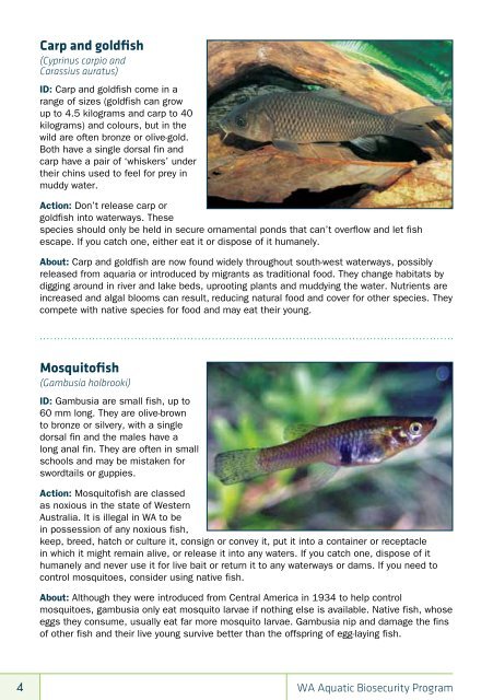 aquatic invaders identification guide - Department of Fisheries