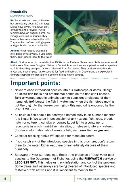 aquatic invaders identification guide - Department of Fisheries