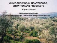 olive growing in montenegro, situation and prospects - EFNCP