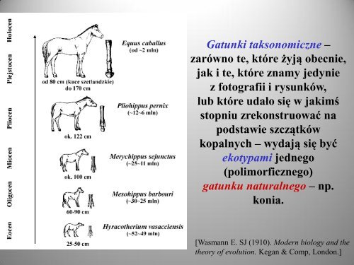 Prima lectio - levis et brevis! - Piotr Lenartowicz SJ