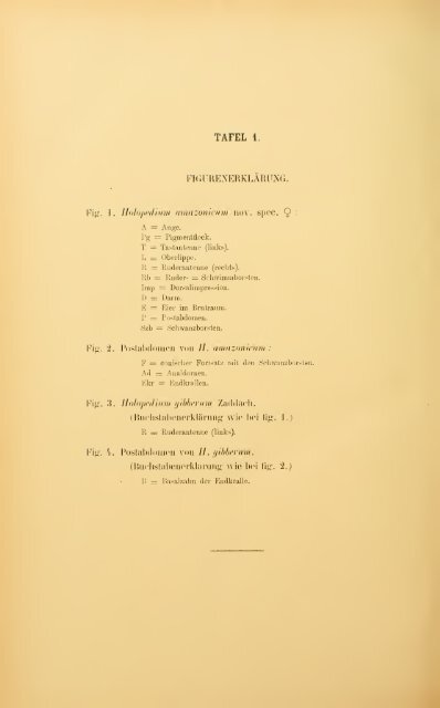 Revue suisse de zoologie - upload.wikimedia....