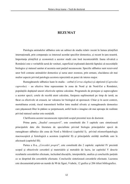 rezumat teză [RO]