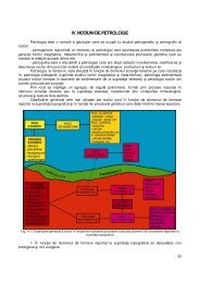 Curs 4 - Petrologie - Procese şi roci magmatice - Doru Juravle